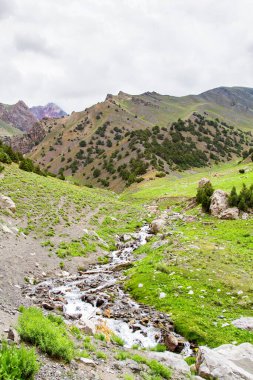 Yazın, Tacikistan, Orta Asya 'daki Fan Dağları' nın Dağ Manzarası