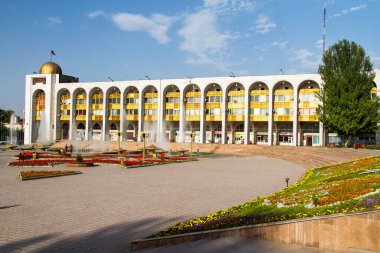 Bişkek, Kırgızistan, Orta Asya 'da güneşli bir günde çiçeklerle çok kare.