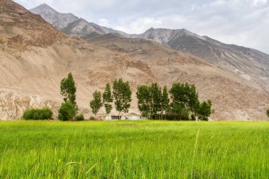 Wakhan Coridor. Marco Polo ipek yolunda Pamir otoyolunun yanında Panj Nehri (Amu Darya) tarafından bölündü. Gorno Badakhsan ili, Tacikistan, Orta Asya