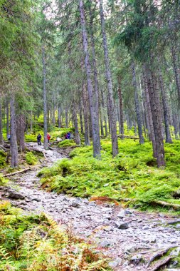 Tatra Dağları Ulusal Parkı, Dolina Pieciu Stawow Polskich, Polonya