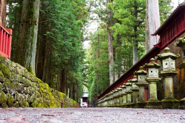 Nikko, Japonya - UNESCO Dünya Mirası Alanı. Tosho-gu Shinto tapınağının bir parçası, geleneksel taş fenerler..