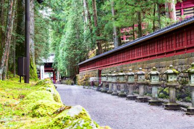 Nikko, Japonya - UNESCO Dünya Mirası Alanı. Tosho-gu Shinto tapınağının bir parçası, geleneksel taş fenerler..