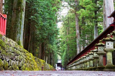 Nikko, Japonya - UNESCO Dünya Mirası Alanı. Tosho-gu Shinto tapınağının bir parçası, geleneksel taş fenerler..