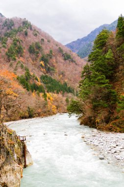 Kurobe Nehri ve taşlar, Kurobe Vadisi, Japonya, Uzak Doğu Asya 'da bozulmamış yeşil alan.