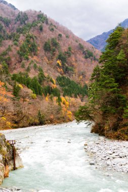Kurobe Nehri ve taşlar, Kurobe Vadisi, Japonya, Uzak Doğu Asya 'da bozulmamış yeşil alan.