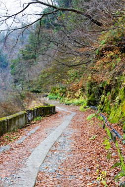 Kurobe vadisinde yürüyüş yolu, Japon Alpleri, Japonya