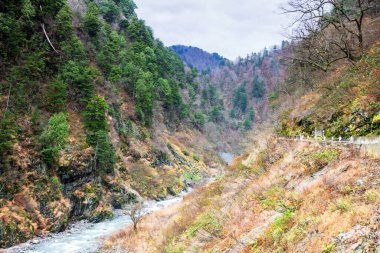 Kurobe Nehri ve taşlar, Kurobe Vadisi, Japonya, Uzak Doğu Asya 'da bozulmamış yeşil alan.