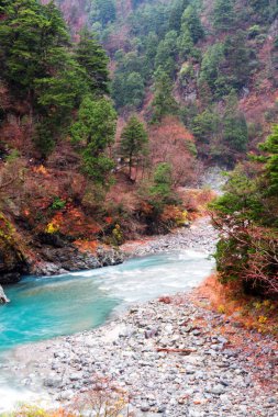 Kurobe Nehri ve taşlar, Kurobe Vadisi, Japonya, Uzak Doğu Asya 'da bozulmamış yeşil alan.