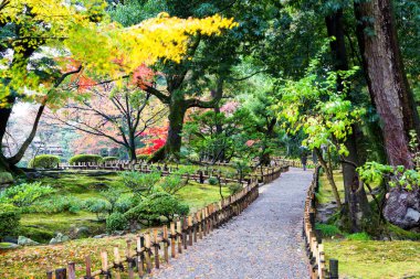 Kenroku-en bahçesi, Kanazawa, Japonya.