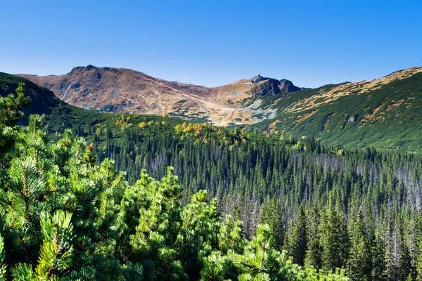 Kesämaisema Tatra Vuorten Kansallispuistossa Zakopane Puola — kuvapankkivalokuva