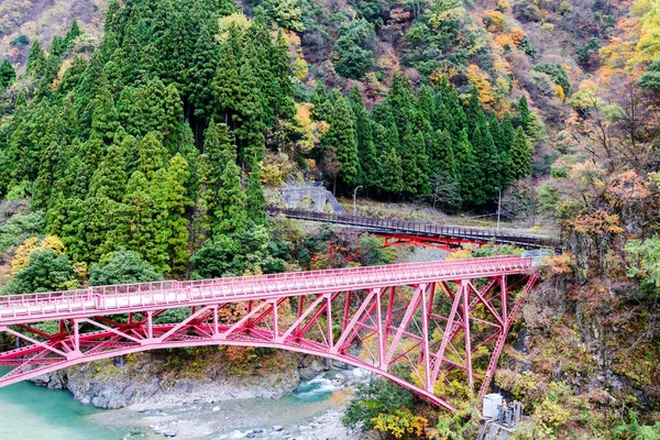 Puente Rojo Kurobe Gorge Railway Japón — Foto de Stock