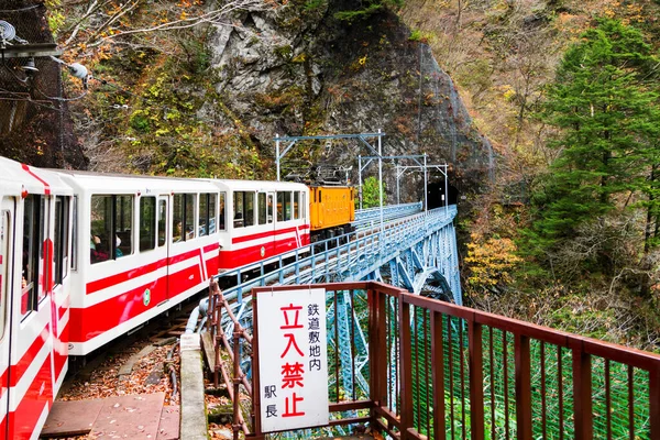 日本の黒部峡谷鉄道 2015年11月19日 風景黒部峡谷鉄道 20Kmの路線で狭軌の列車が谷を登っている — ストック写真