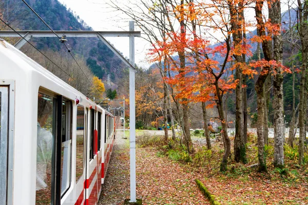 Kurobe Gorge Railway Giappone — Foto Stock