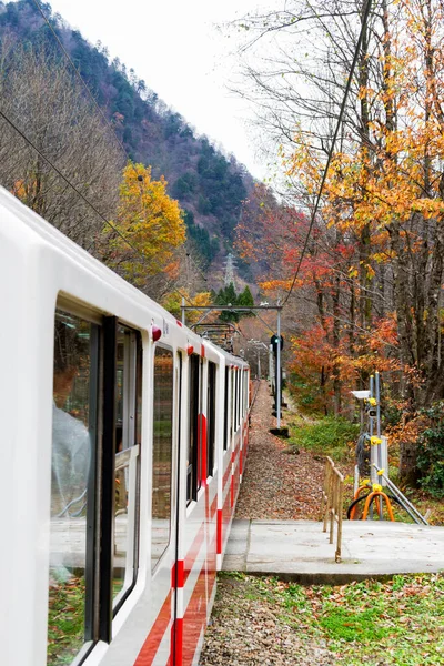 Kurobe Gorge Railway Japan — Stockfoto