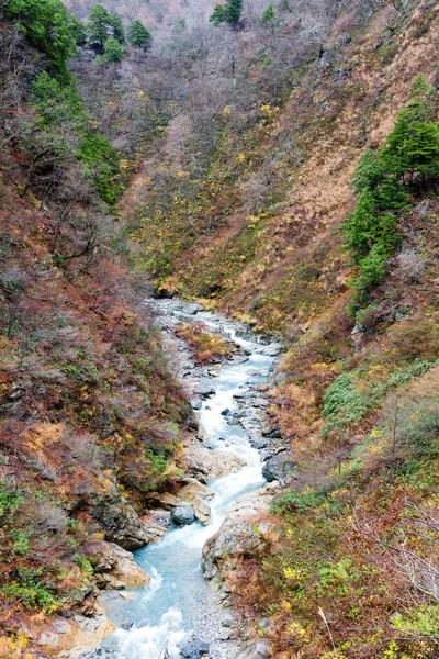 黒部川と石 自然の恵みを受けない緑豊かな地域日本 黒部峡谷 極東アジア — ストック写真