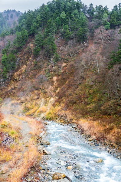 黒部川と石 自然の恵みを受けない緑豊かな地域日本 黒部峡谷 極東アジア — ストック写真