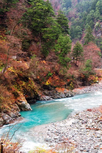 Kurobe River and stones, green area with unspoiled nature at Kurobe Gorge, Japan, Far East Asia