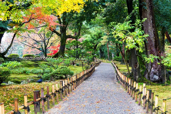 Kenroku Bahçesi Kanazawa Japonya — Stok fotoğraf