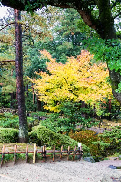 Kenroku Bahçesi Kanazawa Japonya — Stok fotoğraf