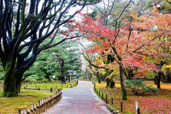 Ogród Kenroku Kanazawa Japonia — Zdjęcie stockowe