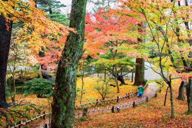 KANAZAWA, JAPONYA - 14 Kasım 2015: Kenroku-en bahçesi, Kanazawa, Japonya.