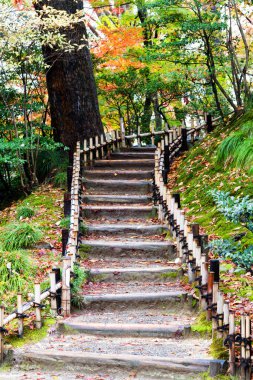 Kenroku-en bahçesi, Kanazawa, Japonya.