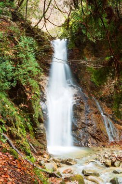 Şelale ve taşlarla kaplanmış yosunlar, Nakasendo 'da bozulmamış yeşil alan Magome' dan Tsumago 'ya, Japonya' dan Uzak Doğu Asya 'ya yürüme yolu