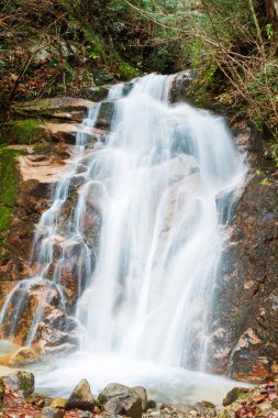 Şelale ve taşlarla kaplanmış yosunlar, Nakasendo 'da bozulmamış yeşil alan Magome' dan Tsumago 'ya, Japonya' dan Uzak Doğu Asya 'ya yürüme yolu