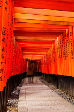 KYOTO, JAPONYA - 20 Kasım 2015: Kyoto, Japonya 'daki Fushimi Inari türbesindeki kapılar