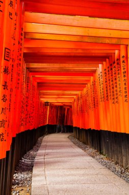 Fushimi Inari Tapınağı 'ndaki Torii kapıları, Kyoto, Japonya