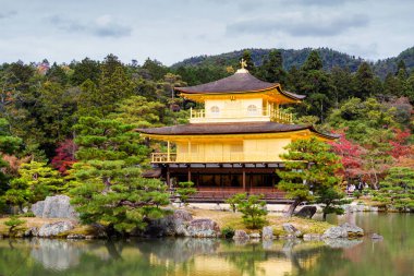 Kyoto, Japonya 'daki Kinkakuji Tapınağı (Altın Pavyon)