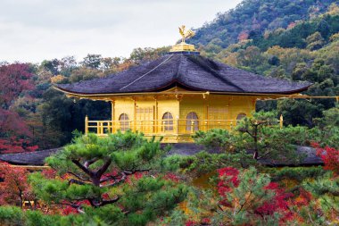 Kyoto, Japonya 'daki Kinkakuji Tapınağı (Altın Pavyon)