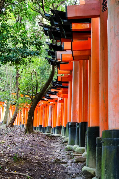 Torii Tore Fushimi Inari Schrein Kyoto Japan — Stockfoto
