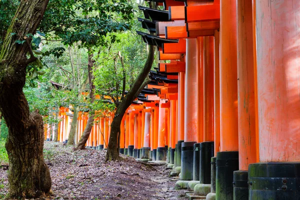 Kyoto Japan November 2015 Die Tore Des Fushimi Inari Schreins — Stockfoto