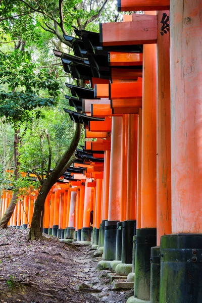 Torii Tore Fushimi Inari Schrein Kyoto Japan — Stockfoto