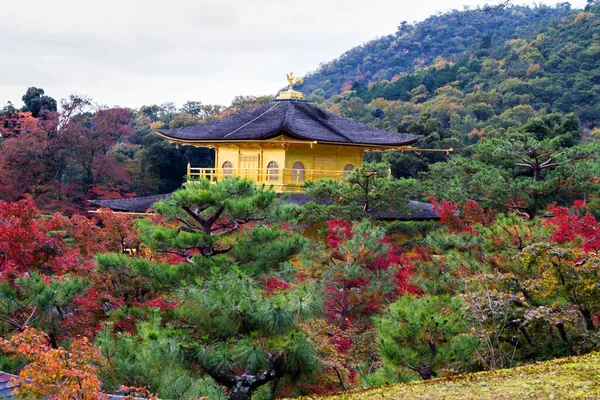 Templo Kinkakuji Pabellón Oro Kyoto Japón —  Fotos de Stock