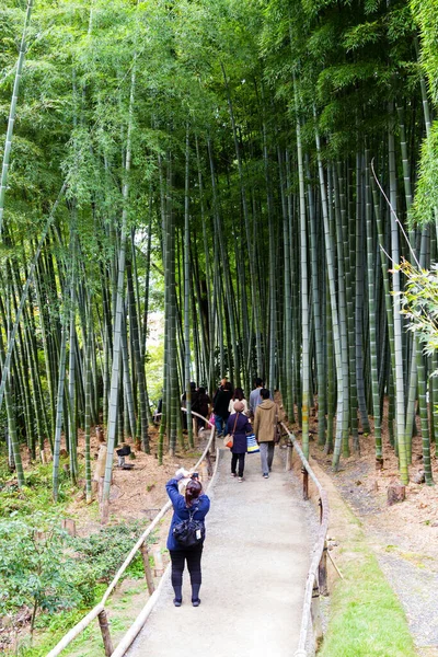 日本京都 2015年11月26日 人们参观日本京都柯代寺竹林 山山是国家级风景名胜古迹和风景名胜古迹 — 图库照片