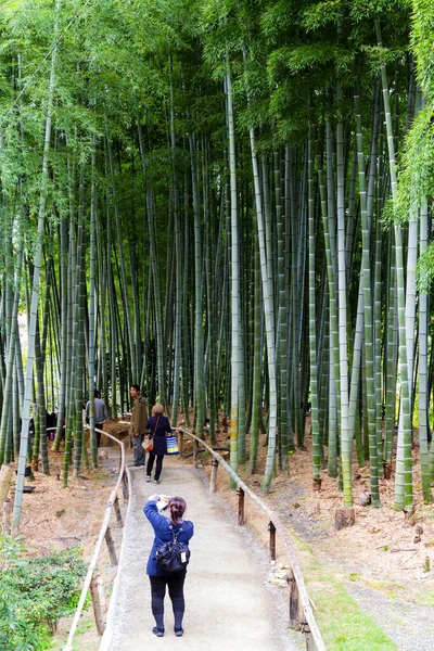 Kjóto Japonsko Listopadu 2015 Lidé Navštěvují Bambusový Les Chrámu Kodai — Stock fotografie