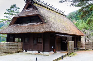 Saiko Iyashi no Sato Nenba Halk Köyü Saiko Gölü. Fuji Dağı yakınlarındaki eski tarihi köy, 5 göl bölgesi, Japonya