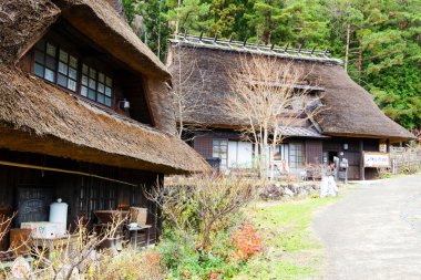 Saikoyachonomori, Japonya - 17 Kasım 2015: Saiko Iyashi no Sato Nenba Halk Köyü Saiko Gölü. Fuji Dağı yakınlarındaki eski tarihi köy, 5 göl bölgesi, Japonya