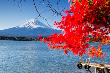 Japonya 'daki Kawaguchiko Gölü' nde sonbahar sezonu ve Fuji Dağı. Beş Göl Bölgesi. Akçaağaç yapraklarını çerçeve olarak göster.