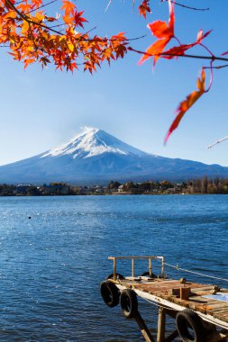 Japonya 'daki Kawaguchiko Gölü' nde sonbahar sezonu ve Fuji Dağı. Beş Göl Bölgesi. Akçaağaç yapraklarını çerçeve olarak göster.