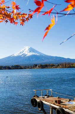 Japonya 'daki Kawaguchiko Gölü' nde sonbahar sezonu ve Fuji Dağı. Beş Göl Bölgesi. Akçaağaç yapraklarını çerçeve olarak göster.