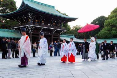 HARAJUKU, TOKYO - 21 Kasım: Japonya 'daki Meiji Jingu Tapınağı Harajuku Tokyo' da yapılan tipik bir düğün töreninin kutlaması.