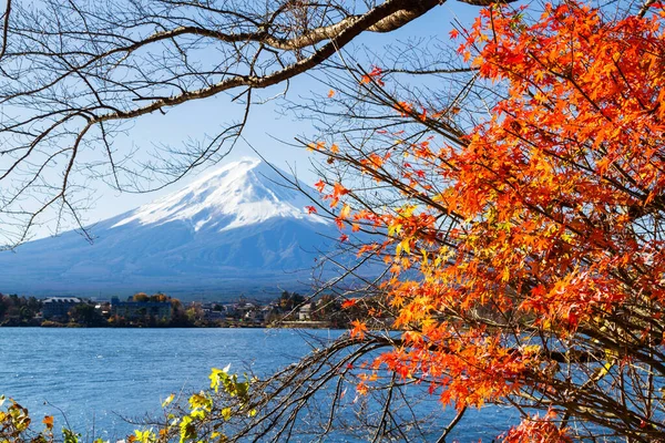 Temporada Otoño Montaña Fuji Con Hojas Rojas Lago Kawaguchiko Japón — Foto de Stock