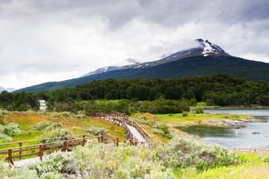 Tierra del Fuego Ulusal Parkı 'ndaki Lapataia Körfezi, Ushuaia, Patagonya, Arjantin, Güney Amerika