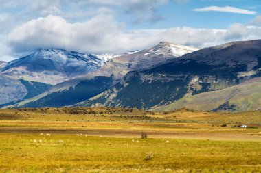 Patagonya, Şili 'deki Şilili Torres del Paine Milli Parkı Panoraması