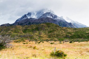 Patagonya, Şili 'deki Şilili Torres del Paine Milli Parkı Panoraması