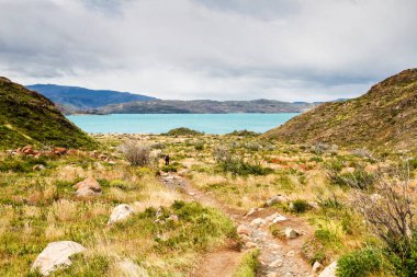 Patagonya, Şili 'deki Şilili Torres del Paine Milli Parkı Panoraması