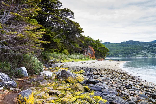 Spectaculair Landschap Lapataia Bay Tierra Del Fuego National Park Ushuaia — Stockfoto
